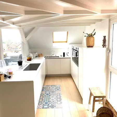 Appartement La Cle Des Toits Colmar