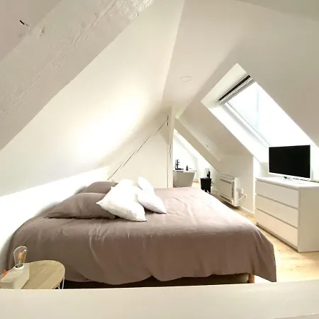 La Cle Des Toits Lejlighed Colmar